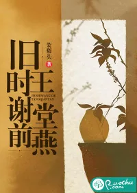 《旧时王谢堂前燕》小说封面