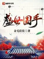 《盛世国手》小说封面