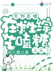 《荒野直播:在求生综艺嗑糖上头了》小说封面