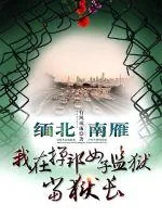 《缅北南雁,我在掸邦女子监狱当狱长》小说封面