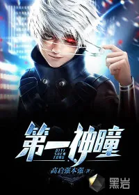 《第一神瞳》小说封面