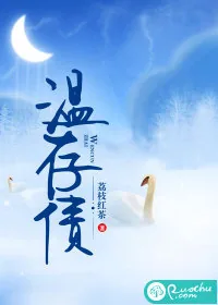 《温存债》小说封面