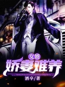 《女婿：娇妻难养》小说封面