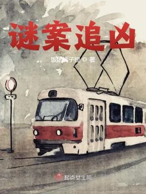 《谜案追凶》小说封面