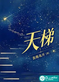 《天梯》小说封面