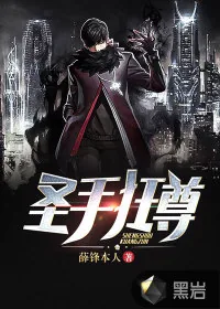 《圣手狂尊》小说封面