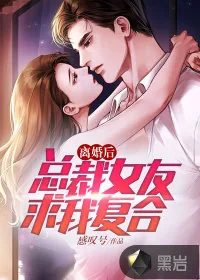 《离婚后，总裁女友求我复合》小说封面