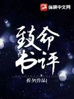 《致命书评》小说封面