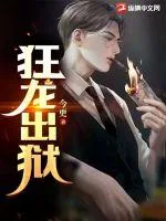 《狂龙出狱》小说封面