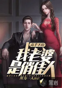 《高手下山：我老婆是俏佳人》小说封面