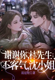 《谢谢N林先生,不客Q沈小姐》小说封面