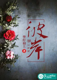 《彼岸》小说封面