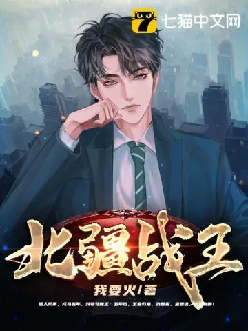 《北疆战王》小说封面