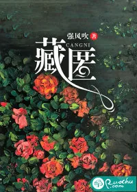 《藏匿》小说封面