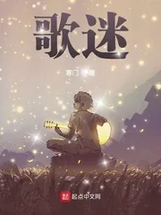 《歌迷》小说封面