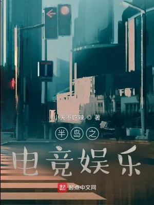 《林演员的退役男友》小说封面