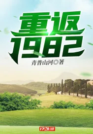 《重返1982》小说封面