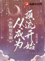 《整顿娱乐圈从成为顶流开始》小说封面