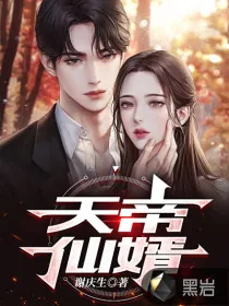 《天帝仙婿》小说封面