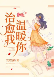 《落进眼里的光》小说封面
