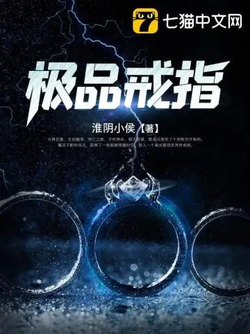 《极品戒指》小说封面