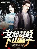 《女总裁的下山高手》小说封面