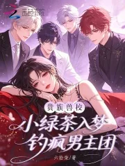 《贵族兽校小绿茶,入梦钓疯男主团》小说封面
