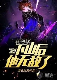 《高手归来：下山后他无敌了》小说封面
