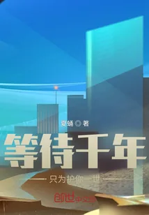 《等待千年只为护你一世》小说封面