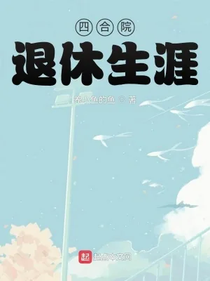 《四合院：退休生涯》小说封面