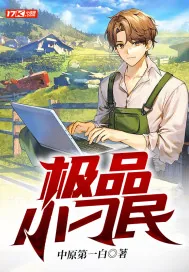 《极品小刁民》小说封面