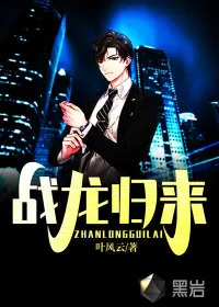 《战龙归来》小说封面