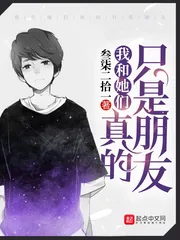 《我和她们真的只是朋友》小说封面