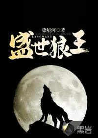 《盛世狼王》小说封面