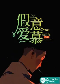 《假意爱慕》小说封面