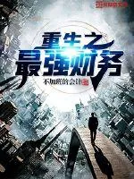 《重生之最强财务》小说封面