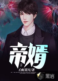 《帝婿》小说封面