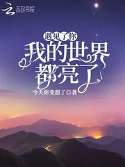 《遇见了你我的世界都亮了》小说封面