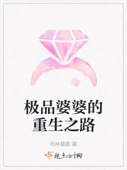 《极品婆婆的重生之路》小说封面