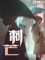 《刺芒》小说封面