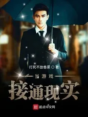 《当游戏接通现实》小说封面