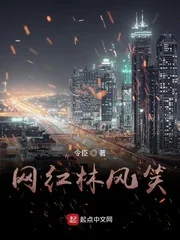 《网红林风笑》小说封面