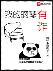 《我的钢琴有诈》小说封面