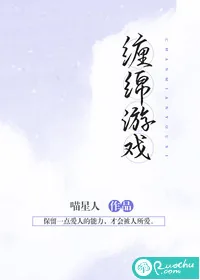 《缠绵游戏》小说封面