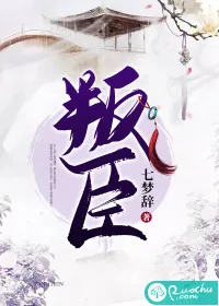 《叛臣》小说封面