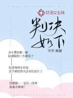 《判决如下》小说封面