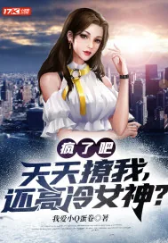 《疯了吧？天天撩我，还高冷女神？》小说封面