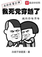 《我死党穿越了》小说封面