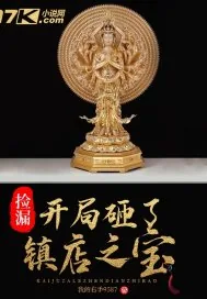 《捡漏：开局砸了镇店之宝》小说封面
