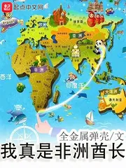 《我真是非洲酋长》小说封面